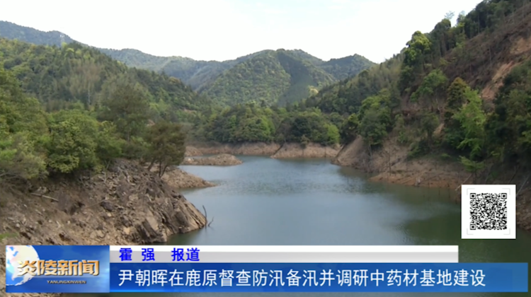 尹朝晖在鹿原督查防汛备汛并调研中药材基地建设