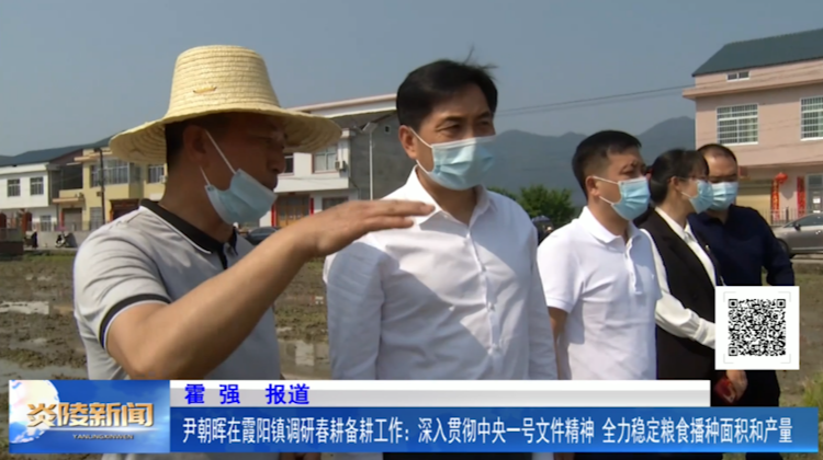 尹朝晖在霞阳镇调研春耕备耕工作：深入贯彻中央一号文件精神 全力稳定粮食播种面积和产量