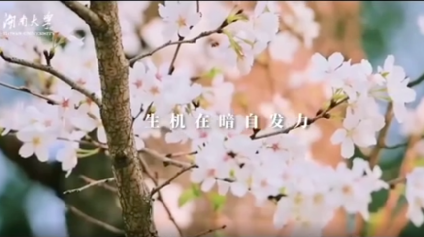 【防疫宣传片】你好，我是湖南大学。谢谢你，我们的你