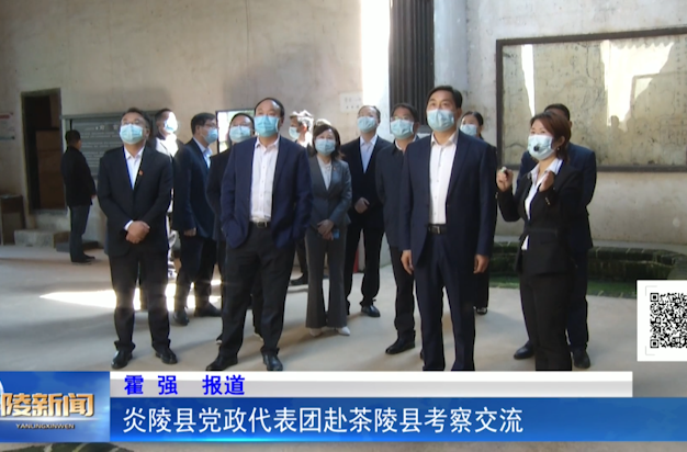 炎陵县党政代表团赴茶陵县考察交流