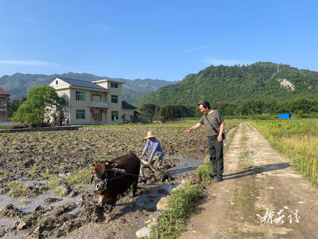 "五一"假期 水口镇水西村成乡村旅游打卡点