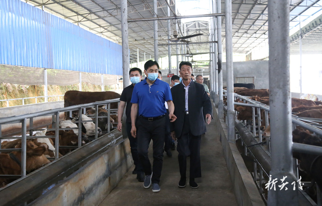 尹朝晖在农口企业调研时强调：扶持优质农口企业 打造特色农产品品牌