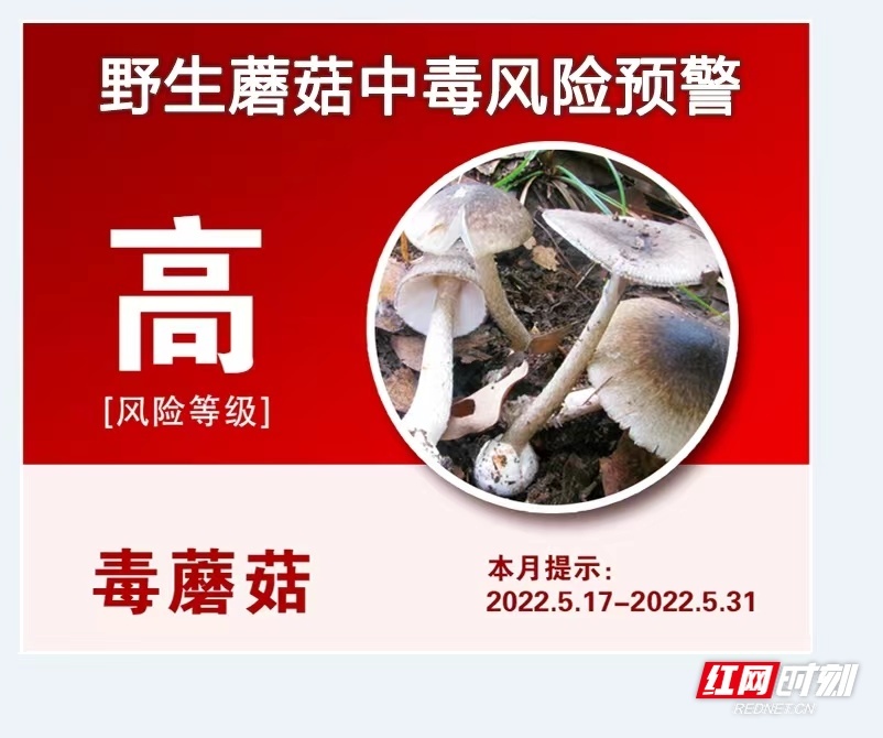 湖南发布首条“野生蘑菇中毒预警”：梅雨季是中毒高发季
