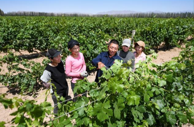 总书记和人民心贴心丨“总书记的真心关怀，暖到了人的心窝子里”