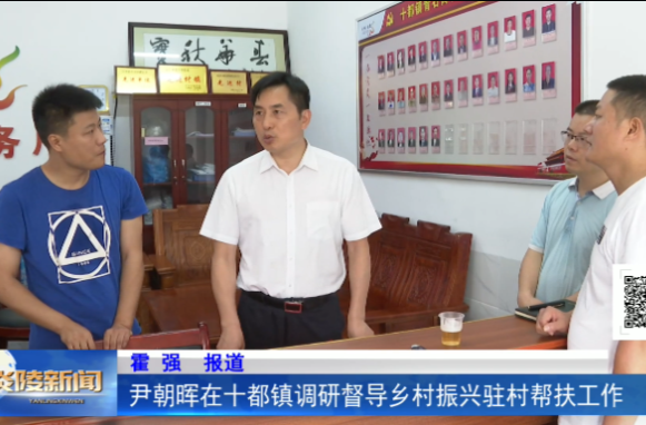 尹朝晖在十都镇调研督导乡村振兴驻村帮扶工作