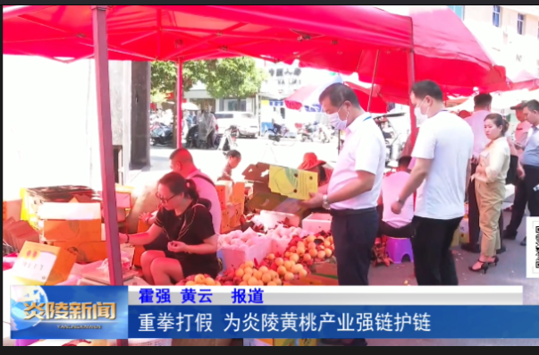 重拳打假 为炎陵黄桃产业强链护链