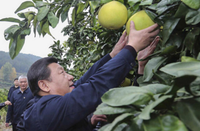 情牵三湘 习近平与湖南的那些暖心瞬间