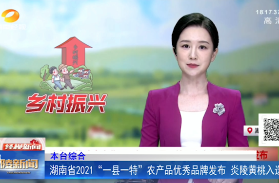 湖南省2021“一县一特”农产品优秀品牌发布 炎陵黄桃入选