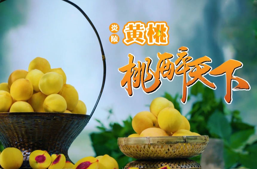 炎陵黄桃宣传片（一）
