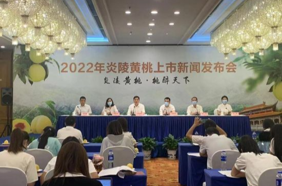 湖南炎陵黄桃21日开园上市 预计产量7.8万吨