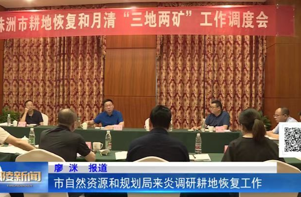 市自然资源和规划局来炎调研耕地恢复工作