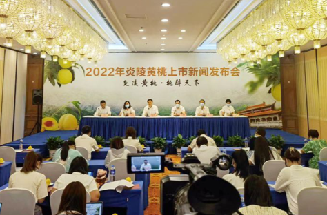 炎陵黄桃7月21日开园上市