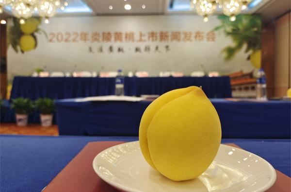湖南炎陵：雷霆手段維護「炎陵黃桃」商標品牌