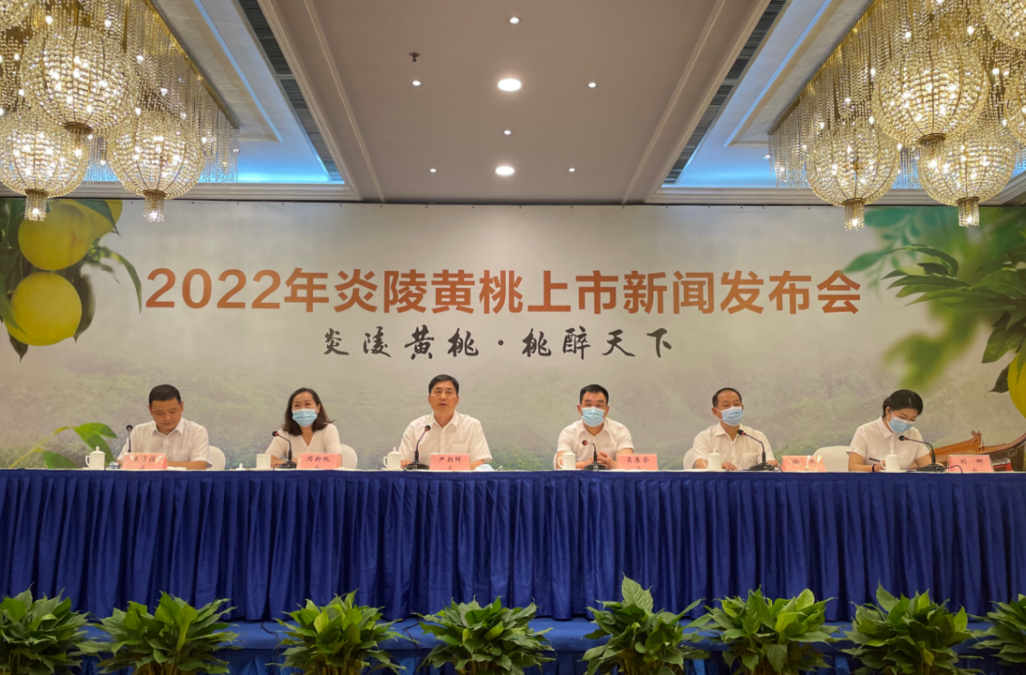 2022年炎陵黄桃开园上市 预计产量7.8万吨