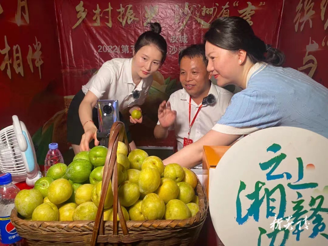 沙洲有“李”庆丰收 —— 湖南汝城举办2022第五届红色沙洲柰李文化节