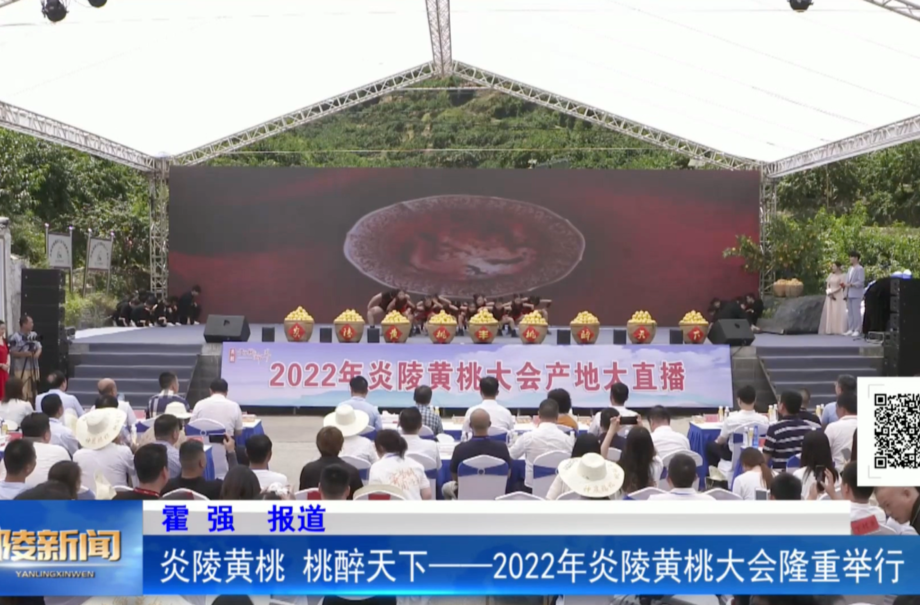 炎陵黄桃，桃醉天下——2022年炎陵黄桃大会隆重举行