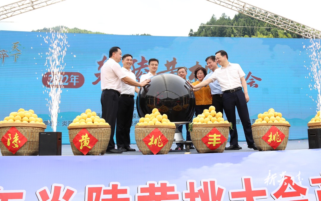 图文|炎陵黄桃，桃醉天下——2022年炎陵黄桃大会隆重举行