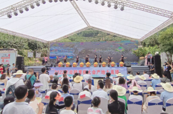 快讯 | 2022年炎陵黄桃大会举行 现场签约采购9750吨