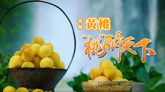 【现场直播】2022年炎陵黄桃粤港澳大湾区上市发布会