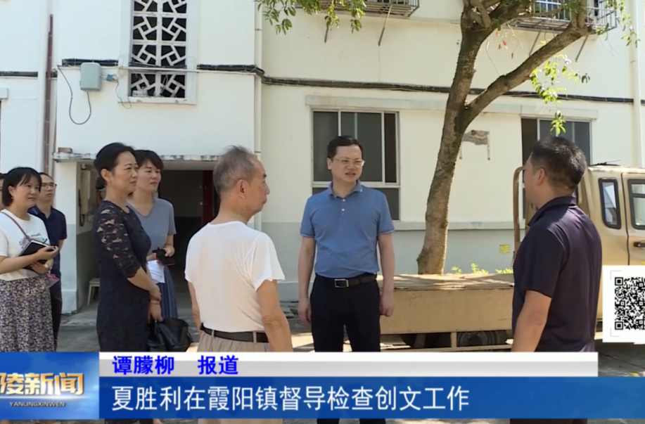 夏胜利在霞阳镇督导检查创文工作