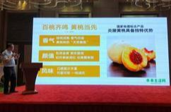 炎陵黄桃进京推介，预计销售50万斤