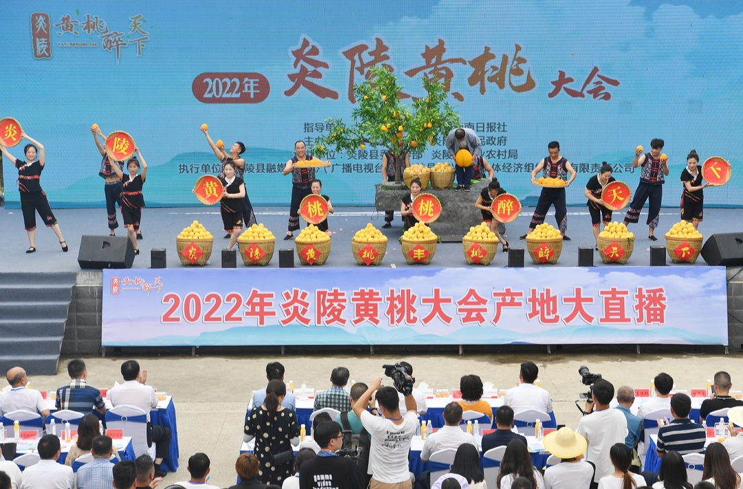 炎陵：三省百家融媒现场直播黄桃大会