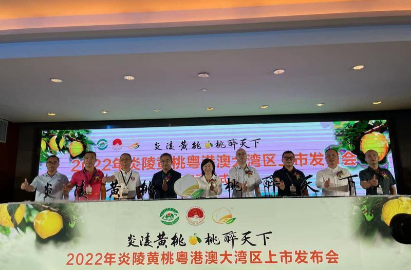 2022年炎陵黄桃粤港澳大湾区上市发布会在深举行