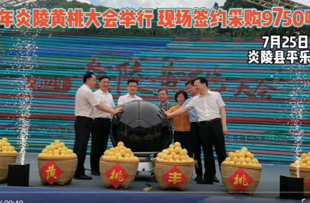 视频新闻 | 2022年炎陵黄桃大会举行 现场签约采购9750吨