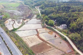 奋进新征程 建功新时代丨湘潭县：两万亩抛荒耕地着“绿装”