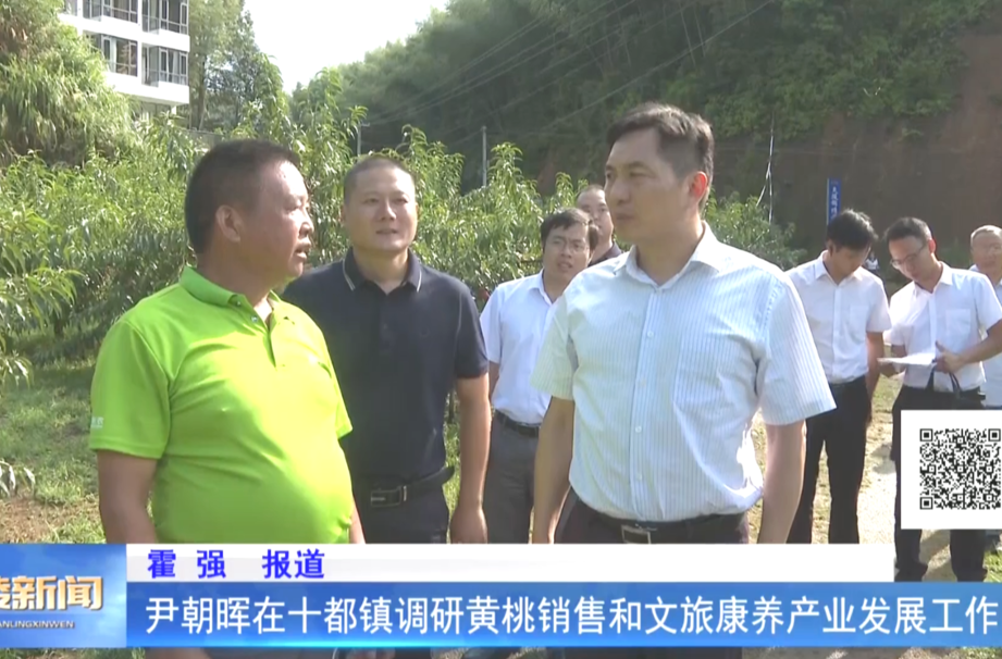 尹朝晖在十都镇调研黄桃销售和文旅康养产业发展工作