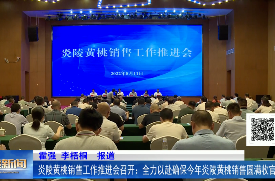 炎陵黄桃销售工作推进会召开：全力以赴确保今年炎陵黄桃销售圆满收官