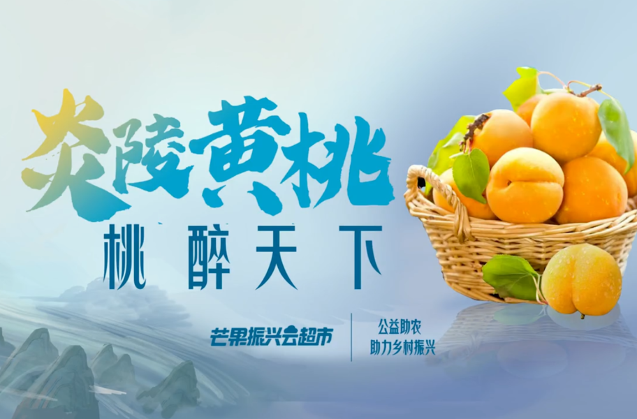 乘风破浪的姐姐品味炎陵黄桃：“果”然有味 “桃”醉一夏