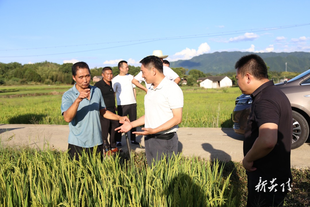 图文|尹朝晖在鹿原镇调研指导抗旱救灾工作：全力以赴抗旱保苗 最大限度减少因灾损失