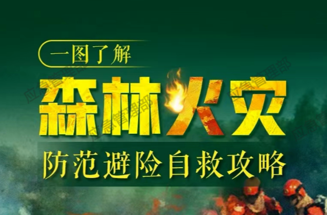应急科普 | 一图了解森林火灾防范避险自救攻略