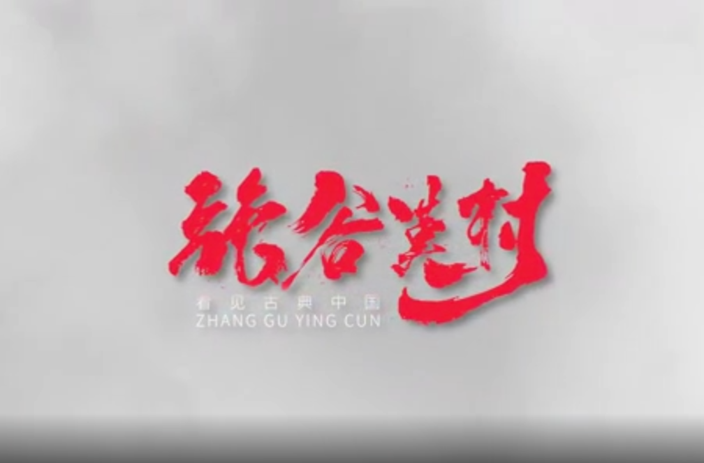 张谷英宣传片