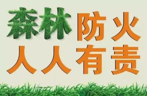 首创！森林防灭火工作标准化指南