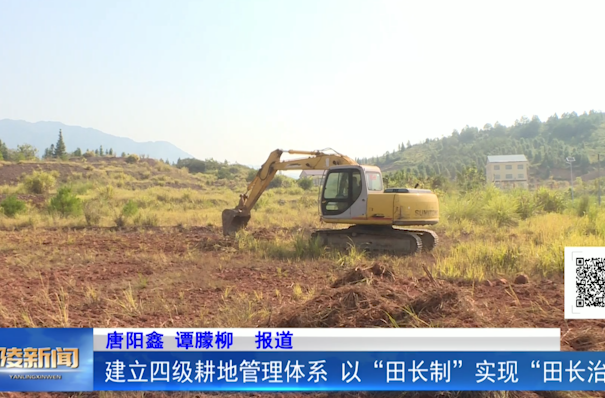 建立四级耕地管理体系 以“田长制”实现“田长治”