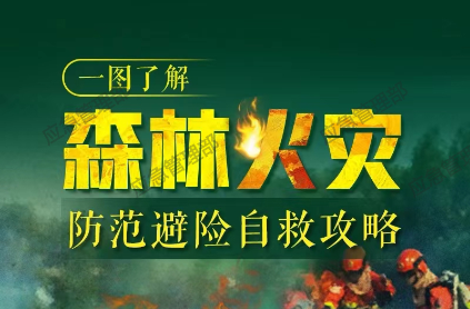 应急科普 | 一图了解森林火灾防范避险自救攻略