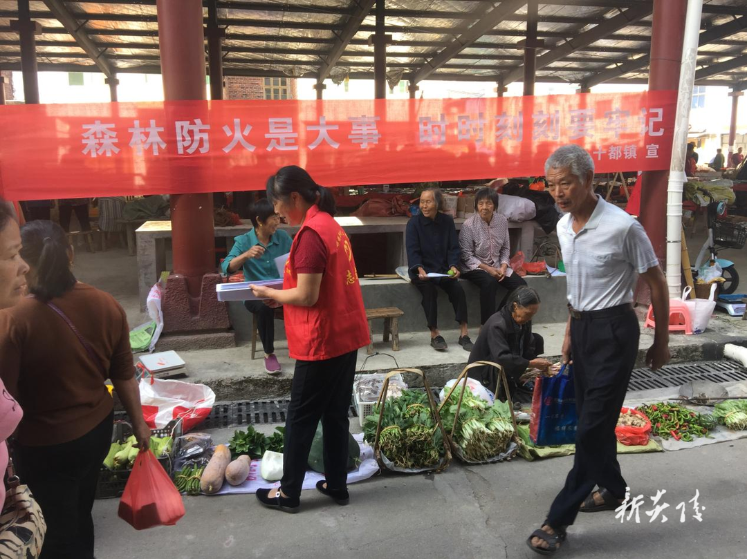 筑牢森林防灭火安全网   防患于未“燃”