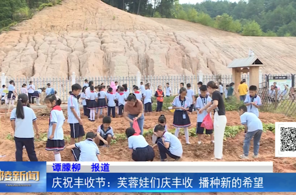 庆祝丰收节：芙蓉娃们庆丰收 播种新的希望