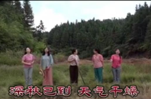 森林防火 人人有责——森林防火歌曲