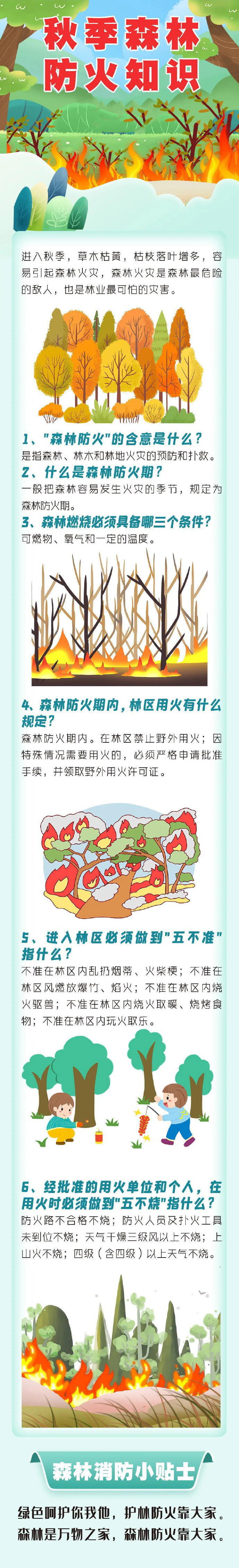 进入秋季这些森林防火知识要知道！