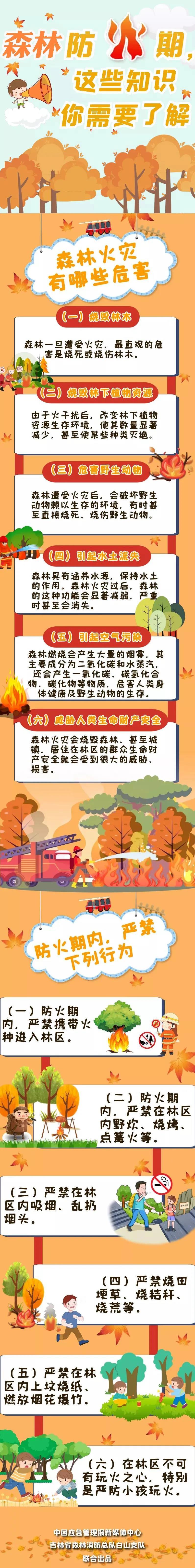 秋冬森林防火，你需要了解这些知识