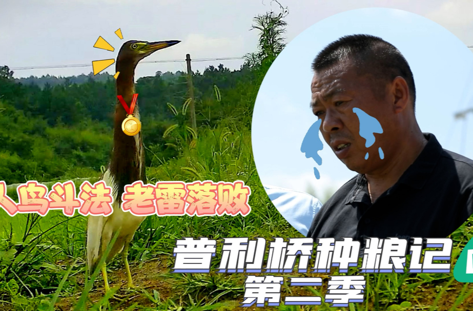 《普利桥种粮记·夏管篇》 第1集
