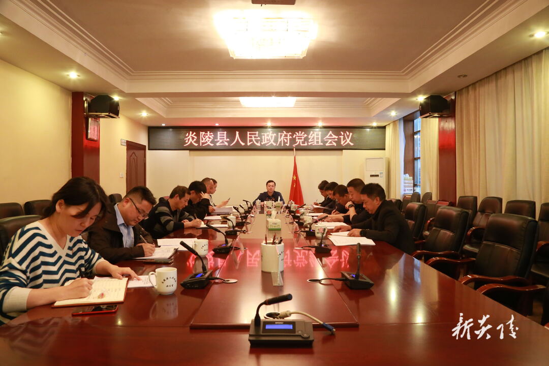 图文|夏胜利主持召开县政府党组会议