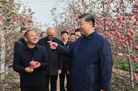习近平在陕西延安和河南安阳考察时强调 全面推进乡村振兴 为实现农业农村现代化而不懈奋斗