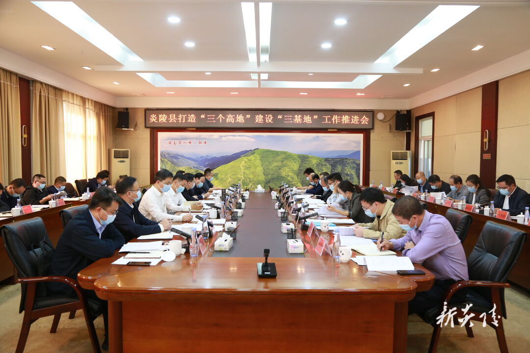 图文|炎陵县召开打造“三个高地”、建设“三基地”工作推进会 尹朝晖夏胜利出席