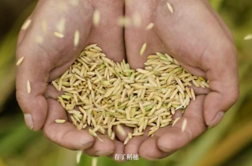 偏爱湖南丨城头山传