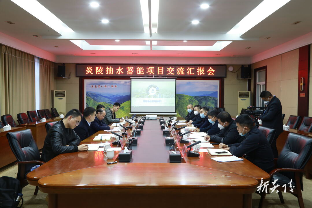 图文|炎陵县召开抽水蓄能项目交流汇报会
