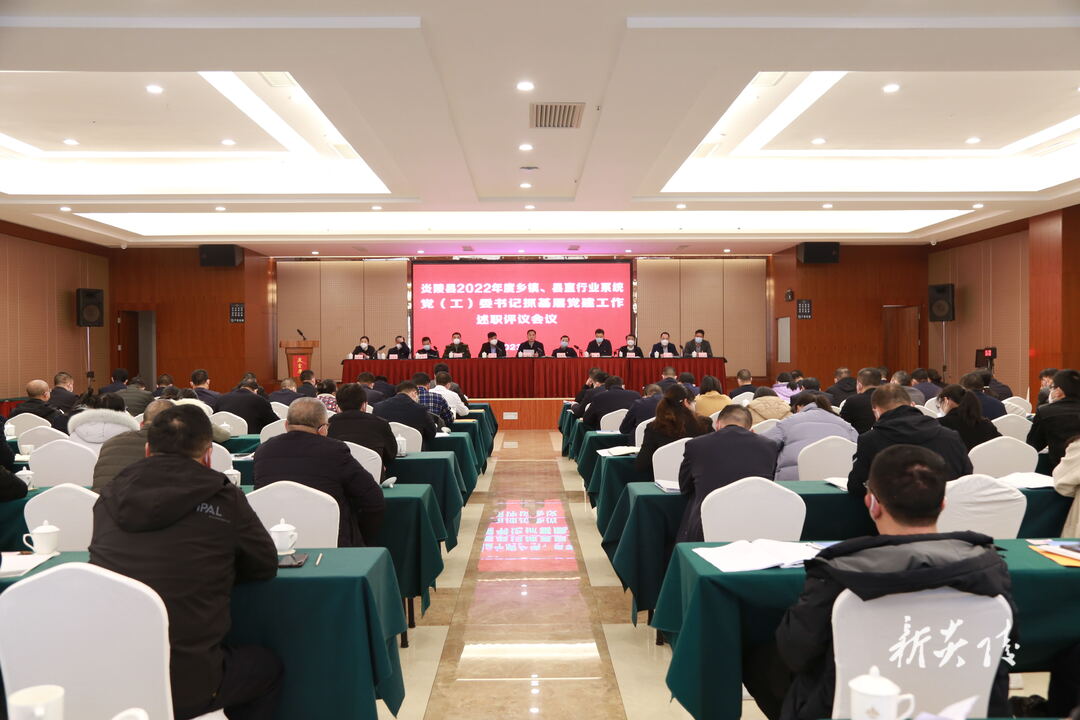 图文|炎陵县召开2022年度乡镇、县直行业系统党（工）委书记抓基层党建工作述职评议会议